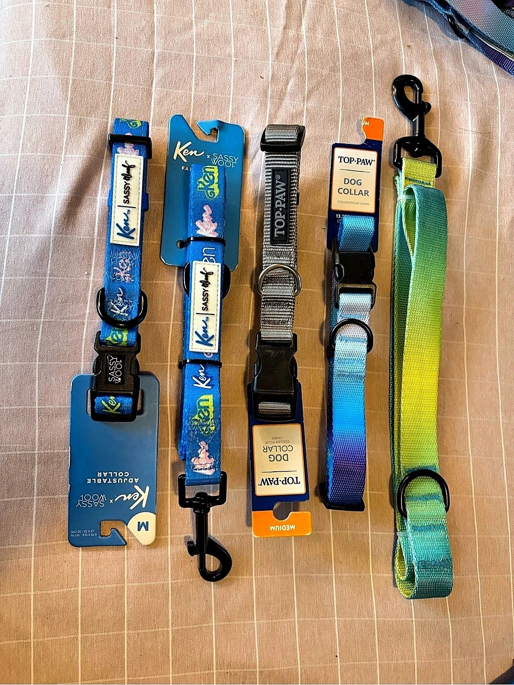 Sassy woof and top paw medium dog collar and leash assortment